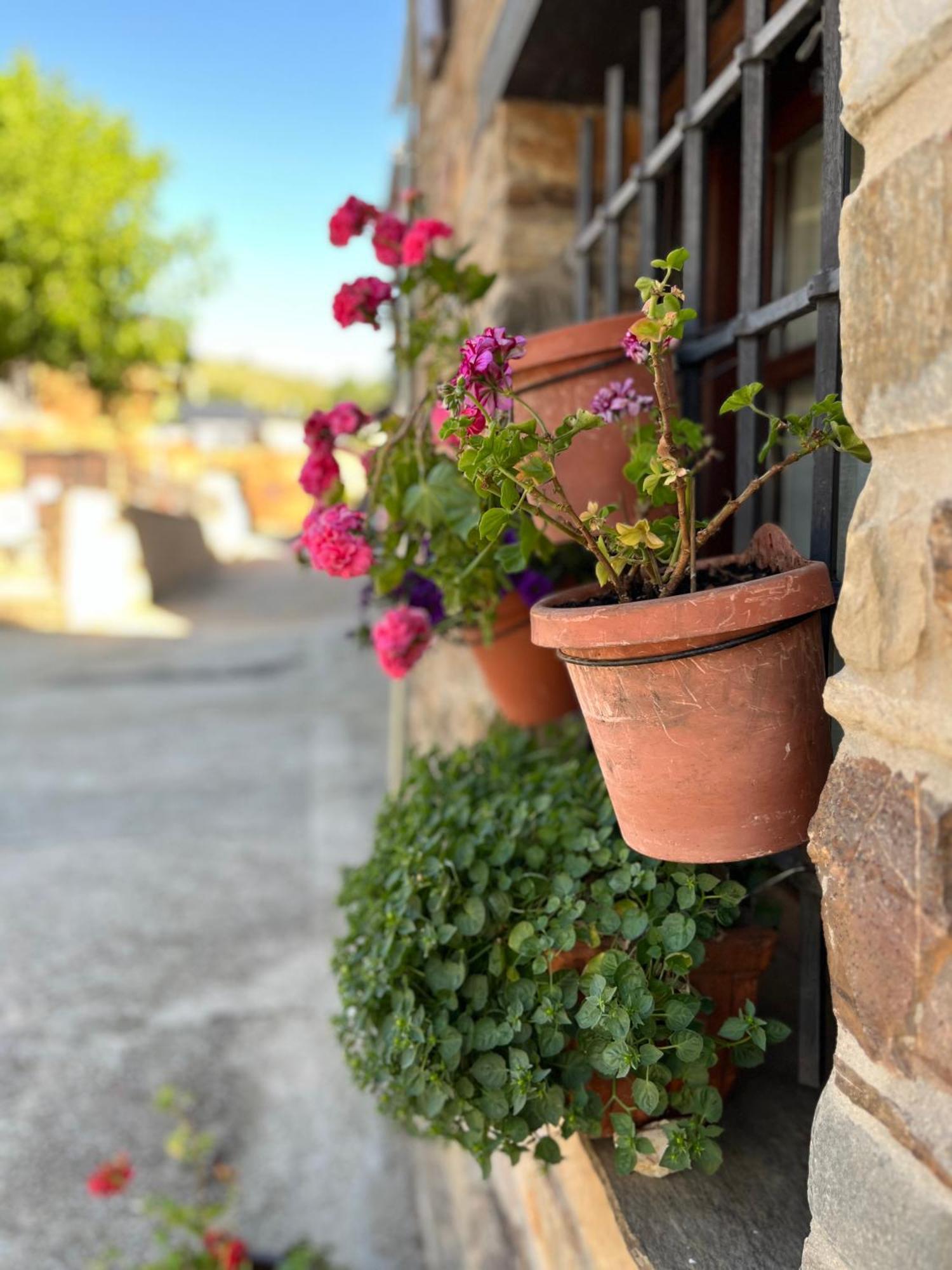 Villa La Casina De Gelo Riego de Ambrós Exterior foto