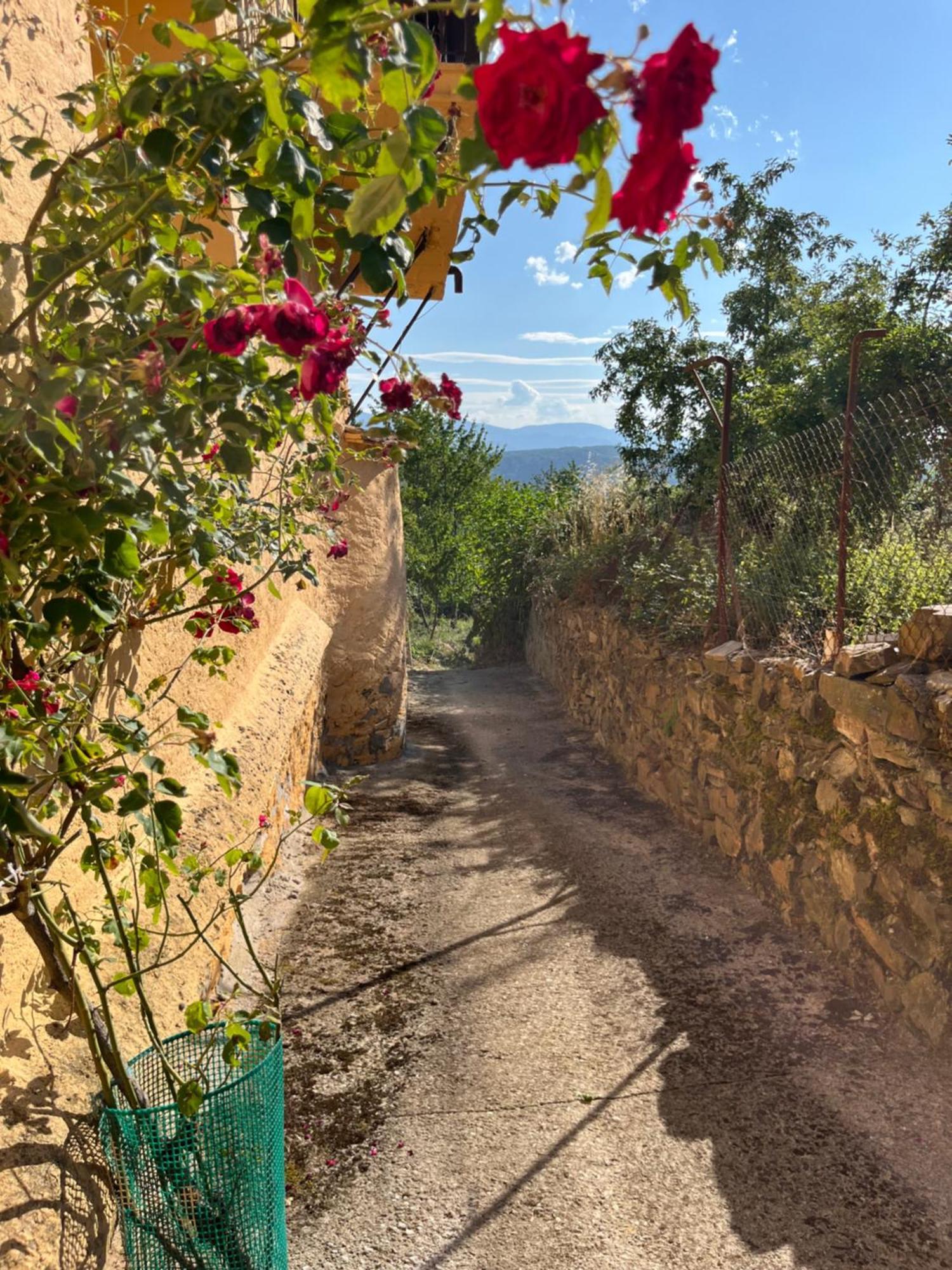 Villa La Casina De Gelo Riego de Ambrós Exterior foto